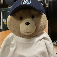 a.investment.company