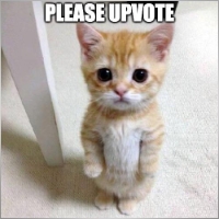 chinhbcdev