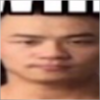 BogBogBog