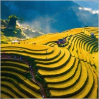 nguyenvan5678