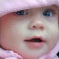 kam.awad