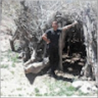 MohsenArchandan