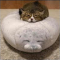 martialpacts