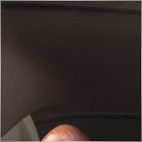 leserwanegabriel65
