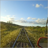 43064715