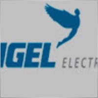 AngelElectronic