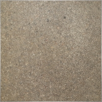 caongoctuananh191996