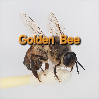 Monitamelyanasinurat