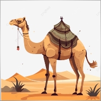 nawabigh