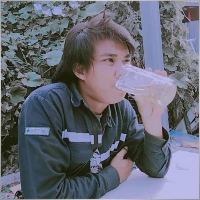PM1995