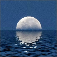 27009005