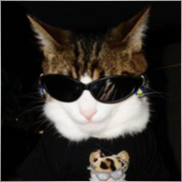 Djangoat001