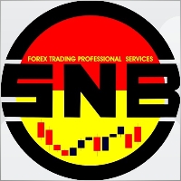 SNB369