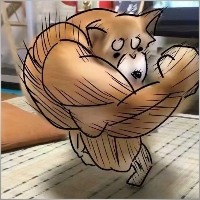 ybdqzz