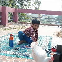 Lulluchicken