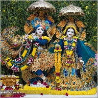 JatinDhillo