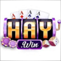 haywin2cam
