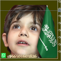SalmanAlOtaibi