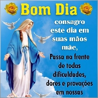nelsonjoao555