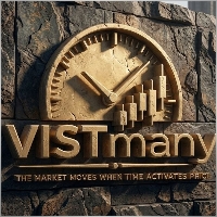 VISTMany