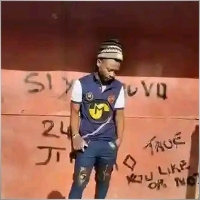 0710478137