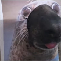 MikaFomin