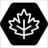 DataMaple
