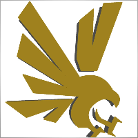 Falconedgesystems