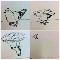 p3pwp3p