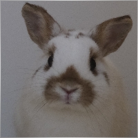 samjhyip