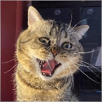 RONGBINGHE