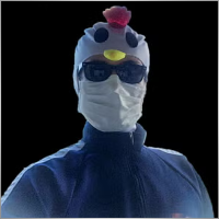 kowblog2