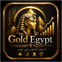 MohamedAshour7023
