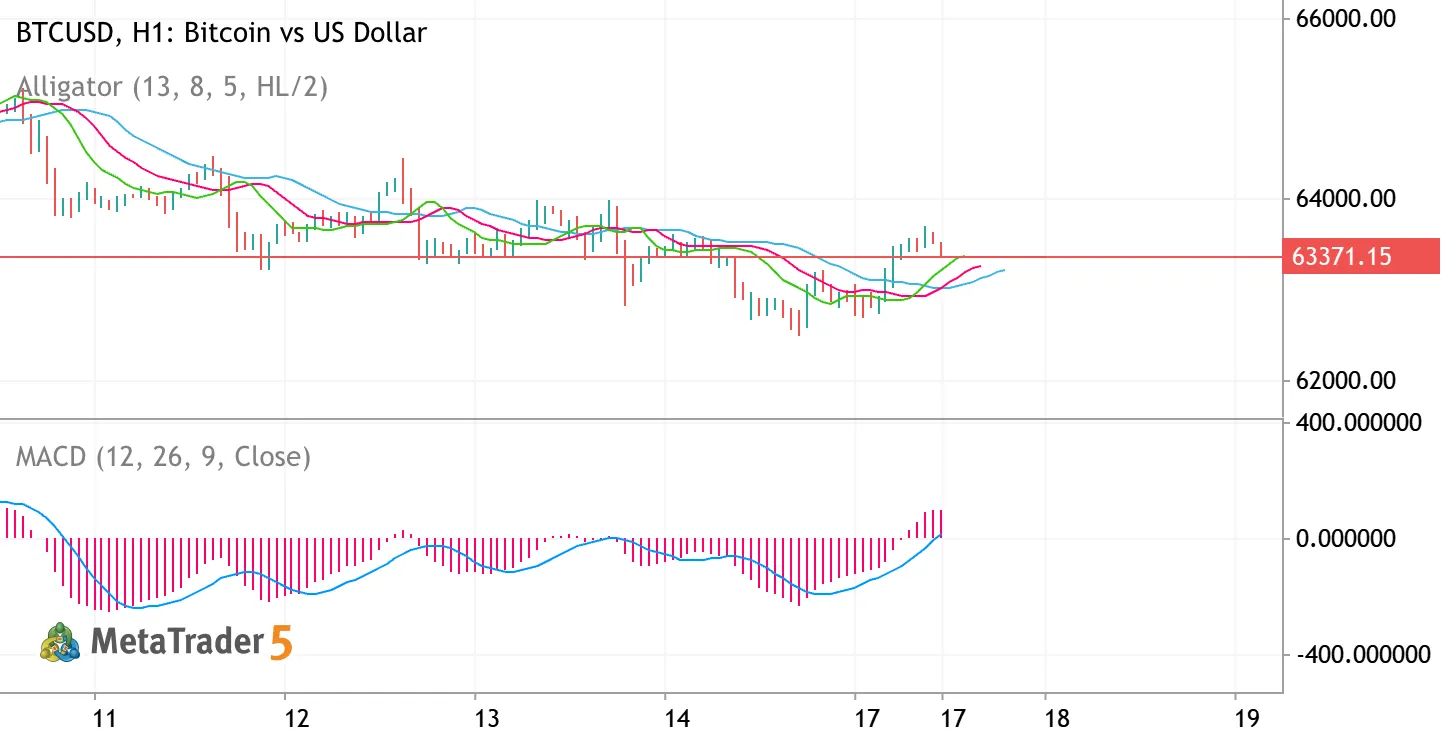BTCUSD: Buyers Defend the $62,500 Support