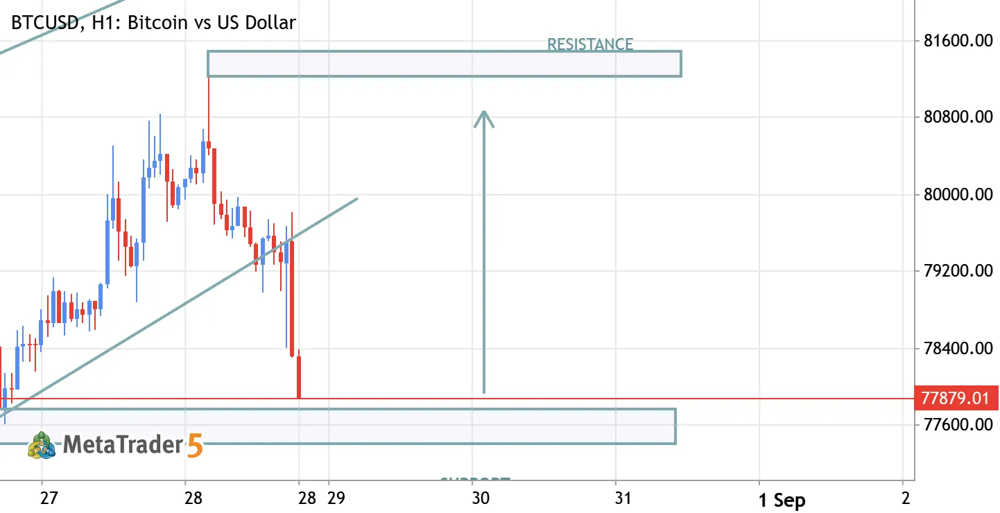 BTCUSD BULLISH TREND AFTER SUPPORT