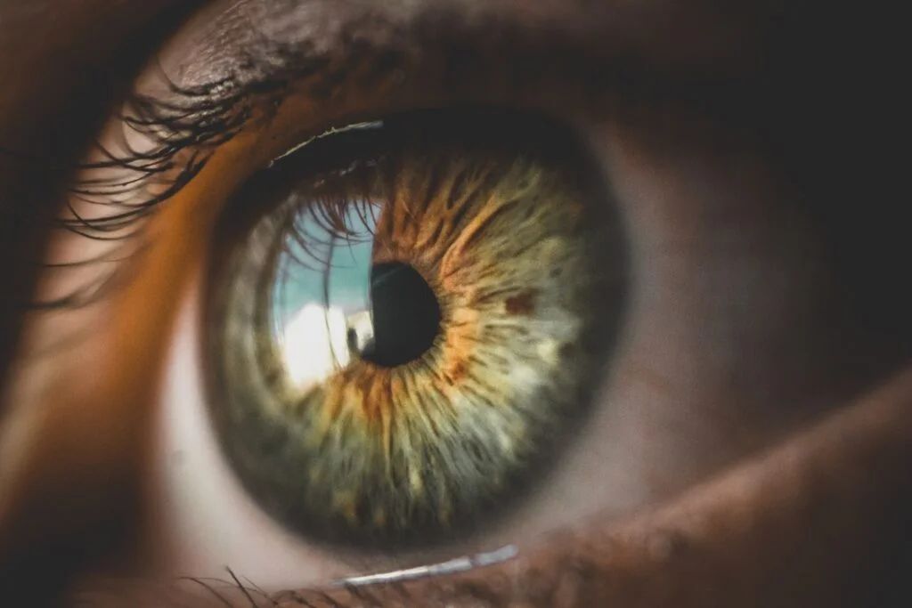 MicroAlgo (MLGO) Reports Return To Profitability In 2024: What's Going On? - MicroAlgo (NASDAQ:MLGO)