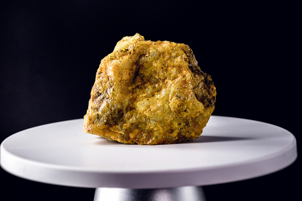 UUUU vs. LEU: Which Uranium Stock Offers Better Potential?