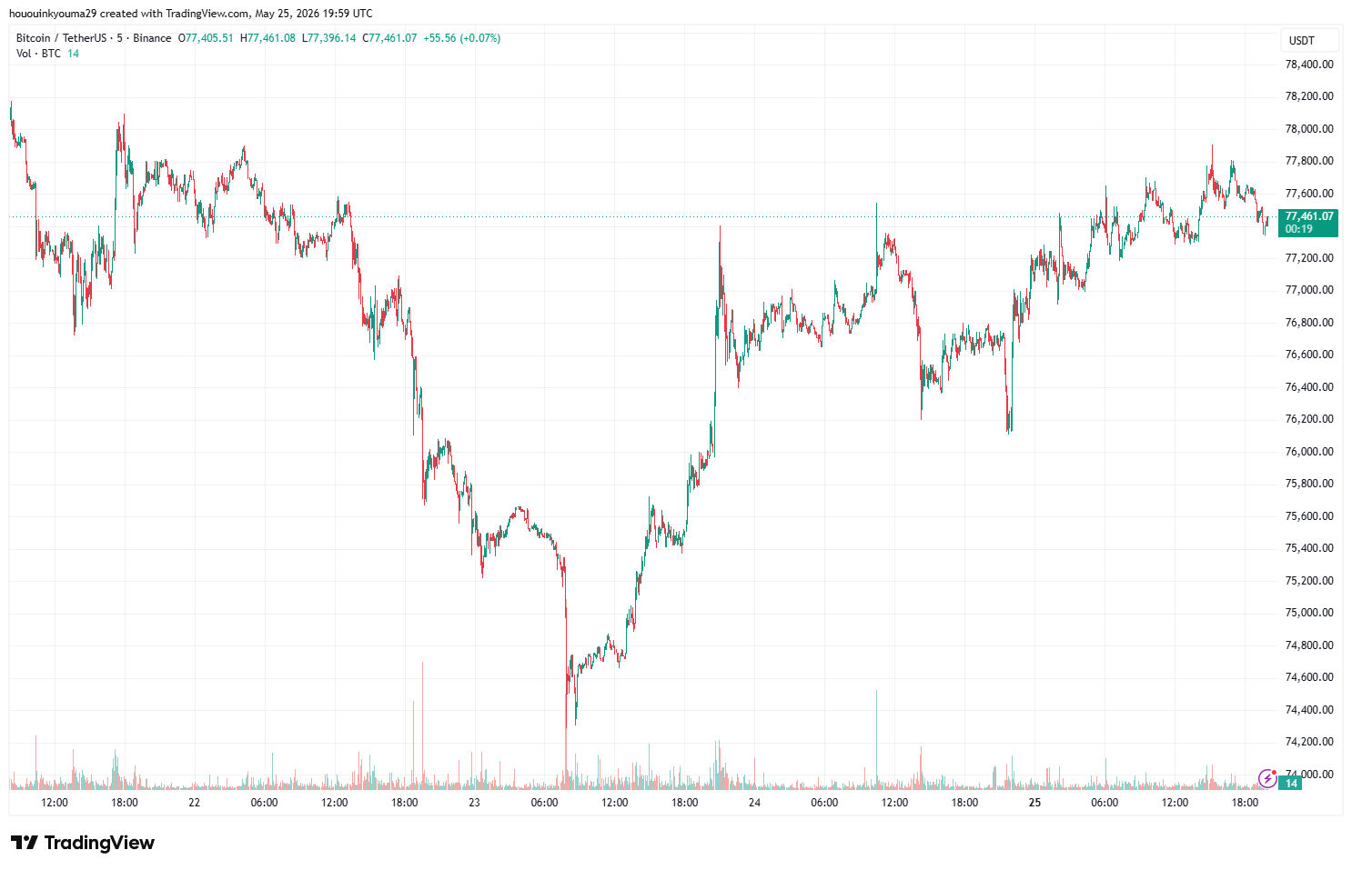 Bitcoin Price Chart