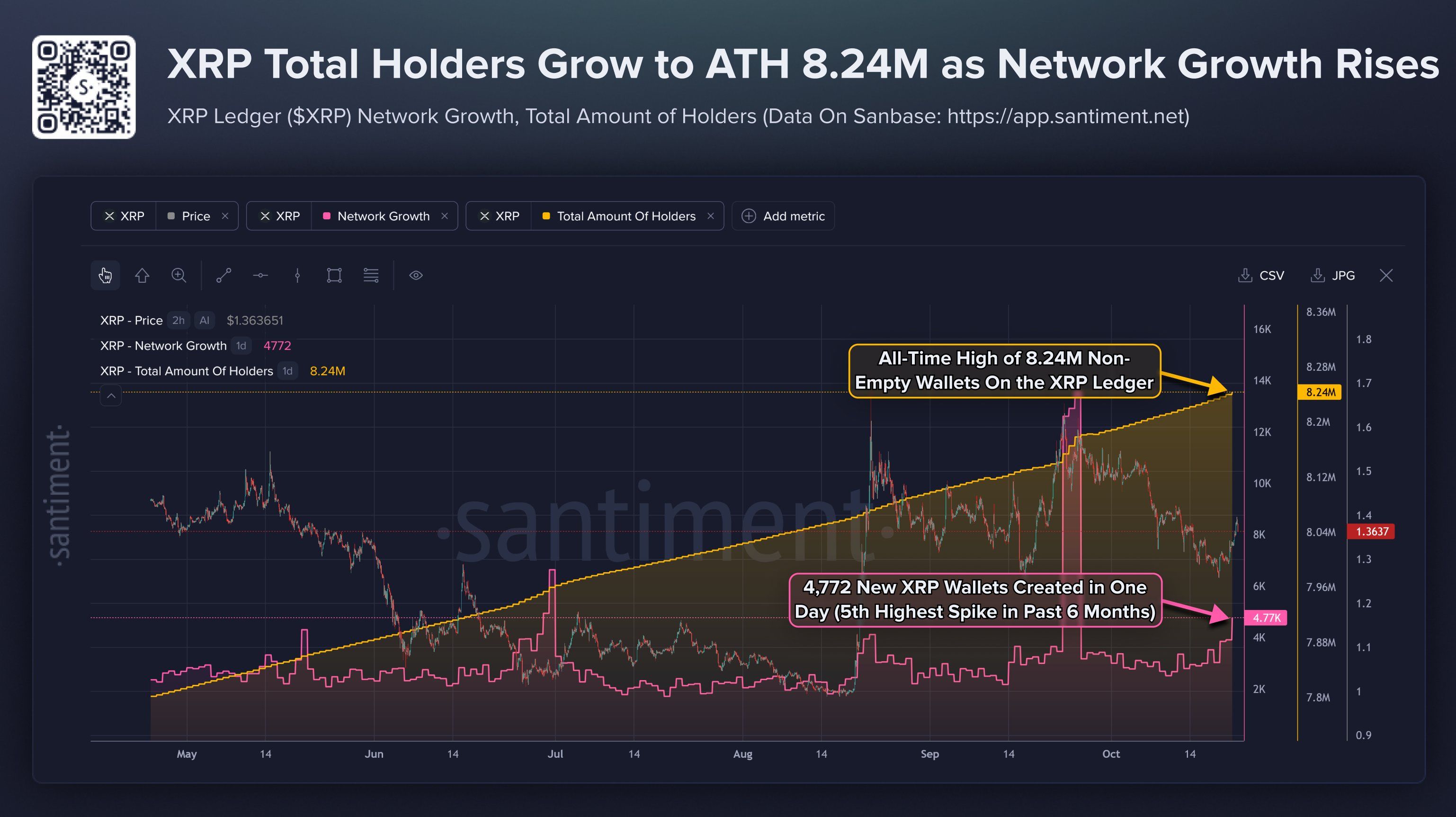 XRP総保有者数とネットワーク成長