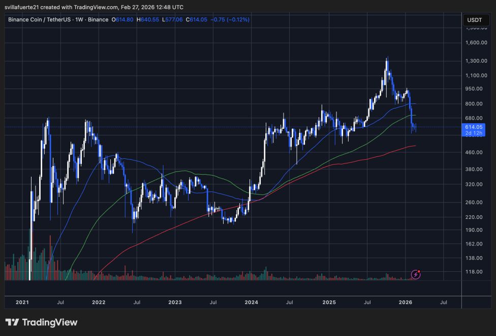 BNB consolidates in a key level | Source: BNBUSDT 