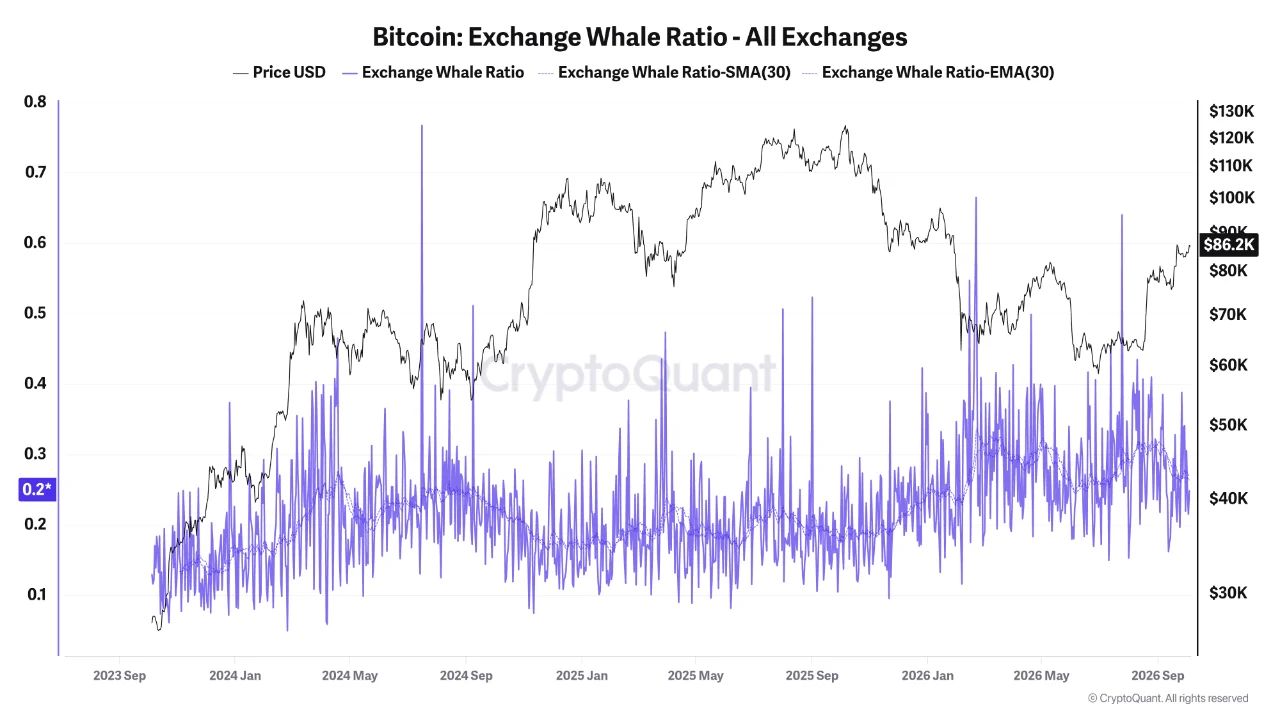 Exchange Whale Ratio.
