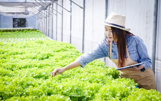 Agricultural ETFs to Gain With U.S.-China Trade Truce on the Horizon