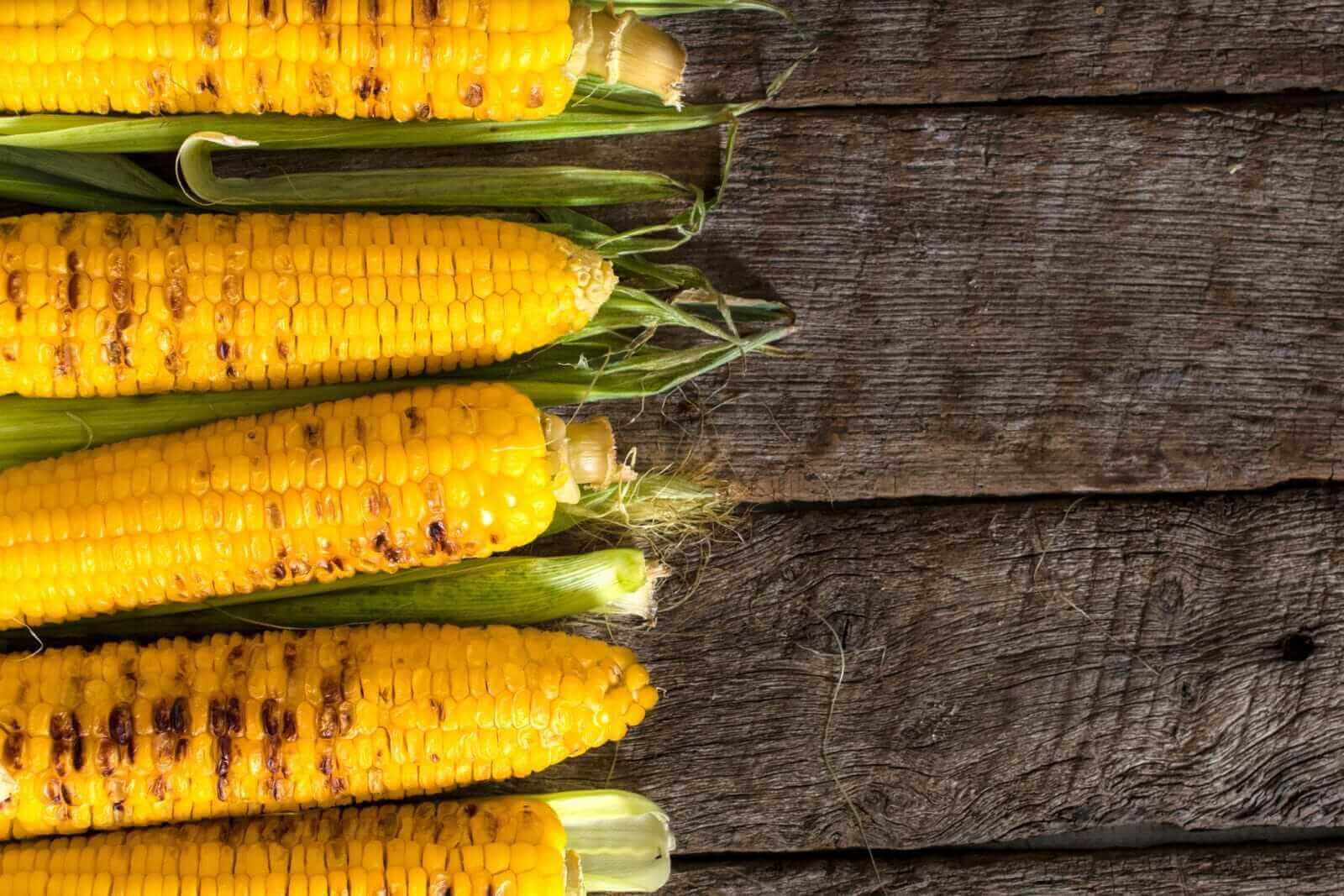 Corn Bulls Take a Breather on Thursday’s Pullback