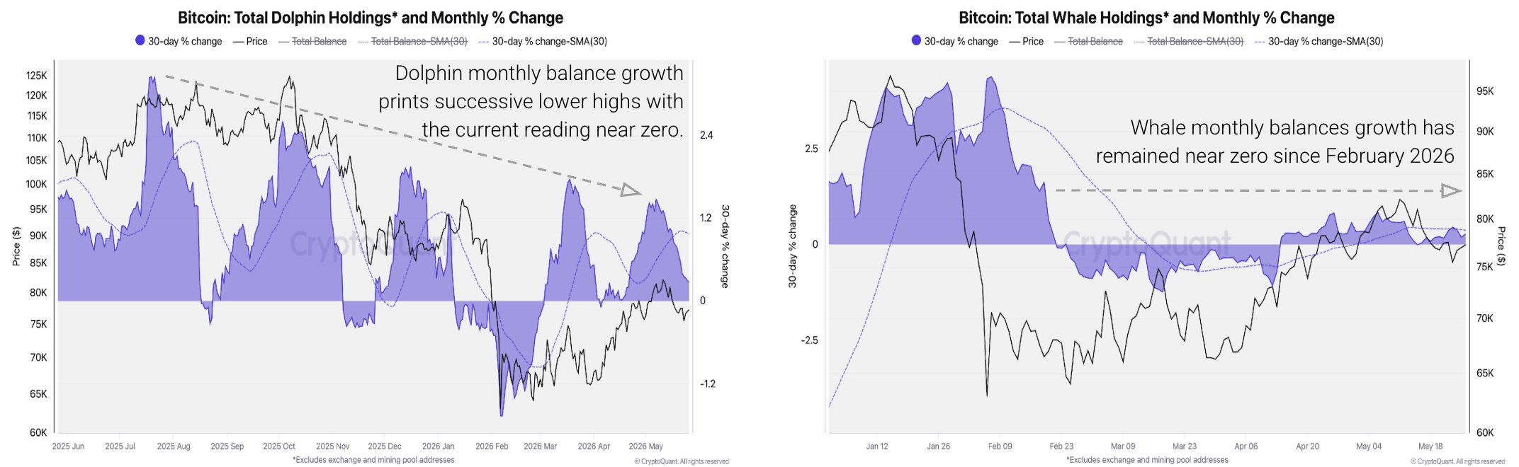 Bitcoin Whale Holdings