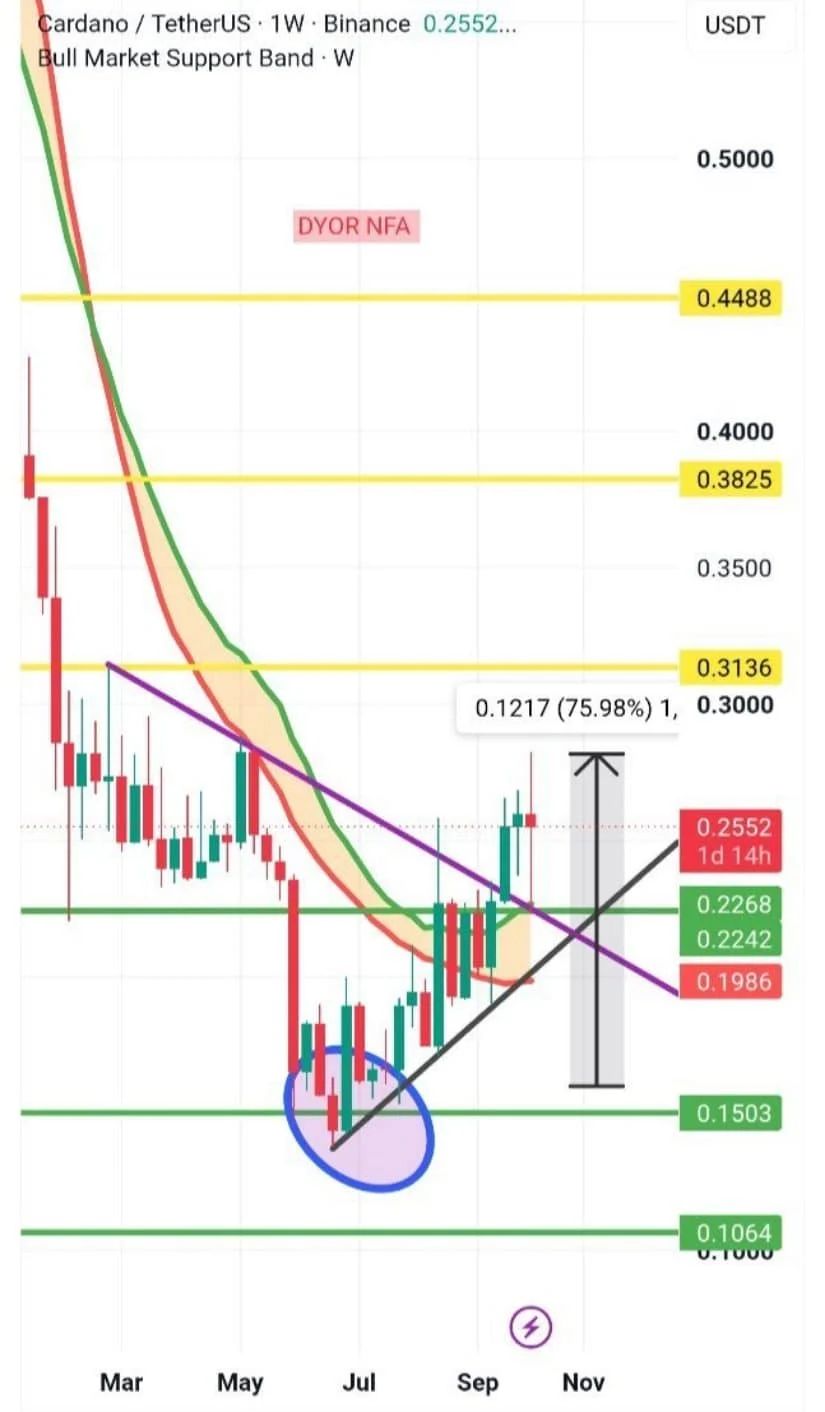 Cardano Price Prediction Targeting $0.3136