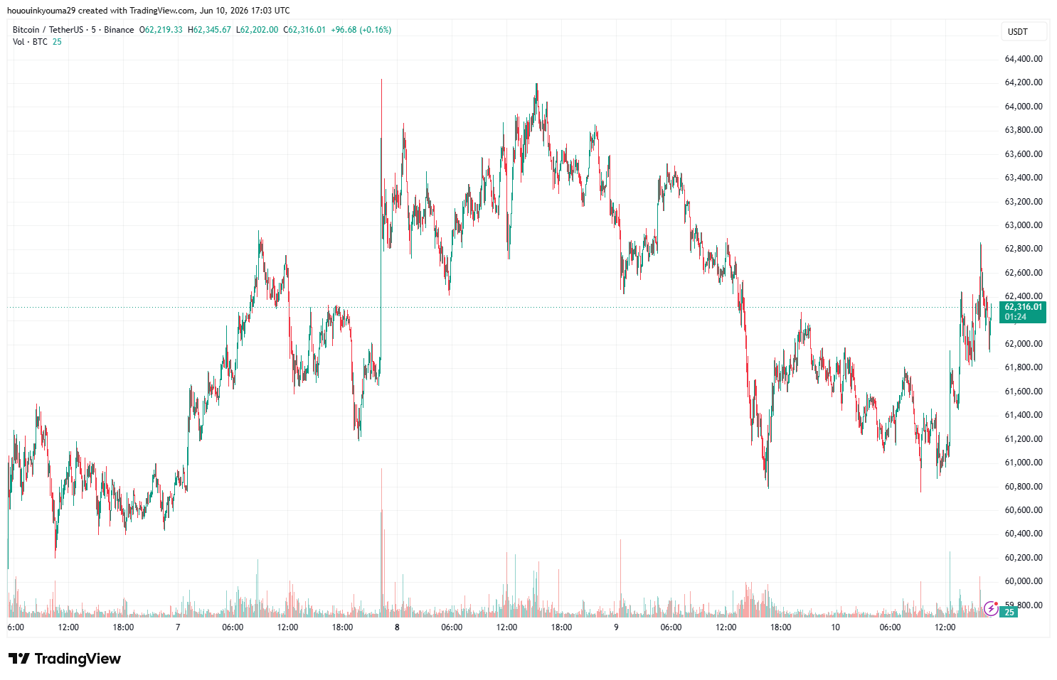 Bitcoin Price Chart