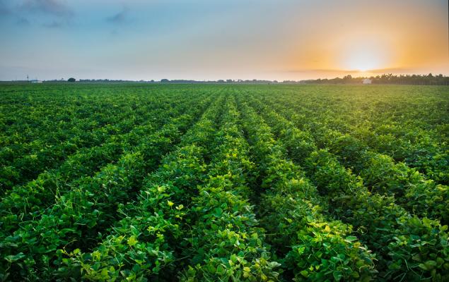 How Corteva's Innovation Pipeline Could Shape Its Next Growth Cycle