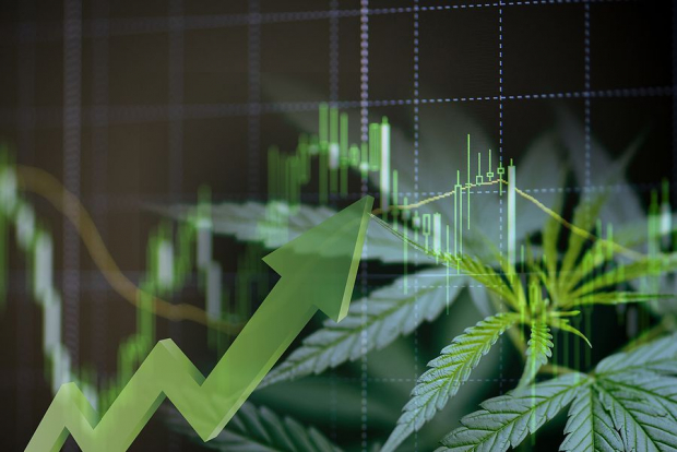 Cannabis Operator CGC Rises 15% in a Month: Time to Buy, Hold or Sell?