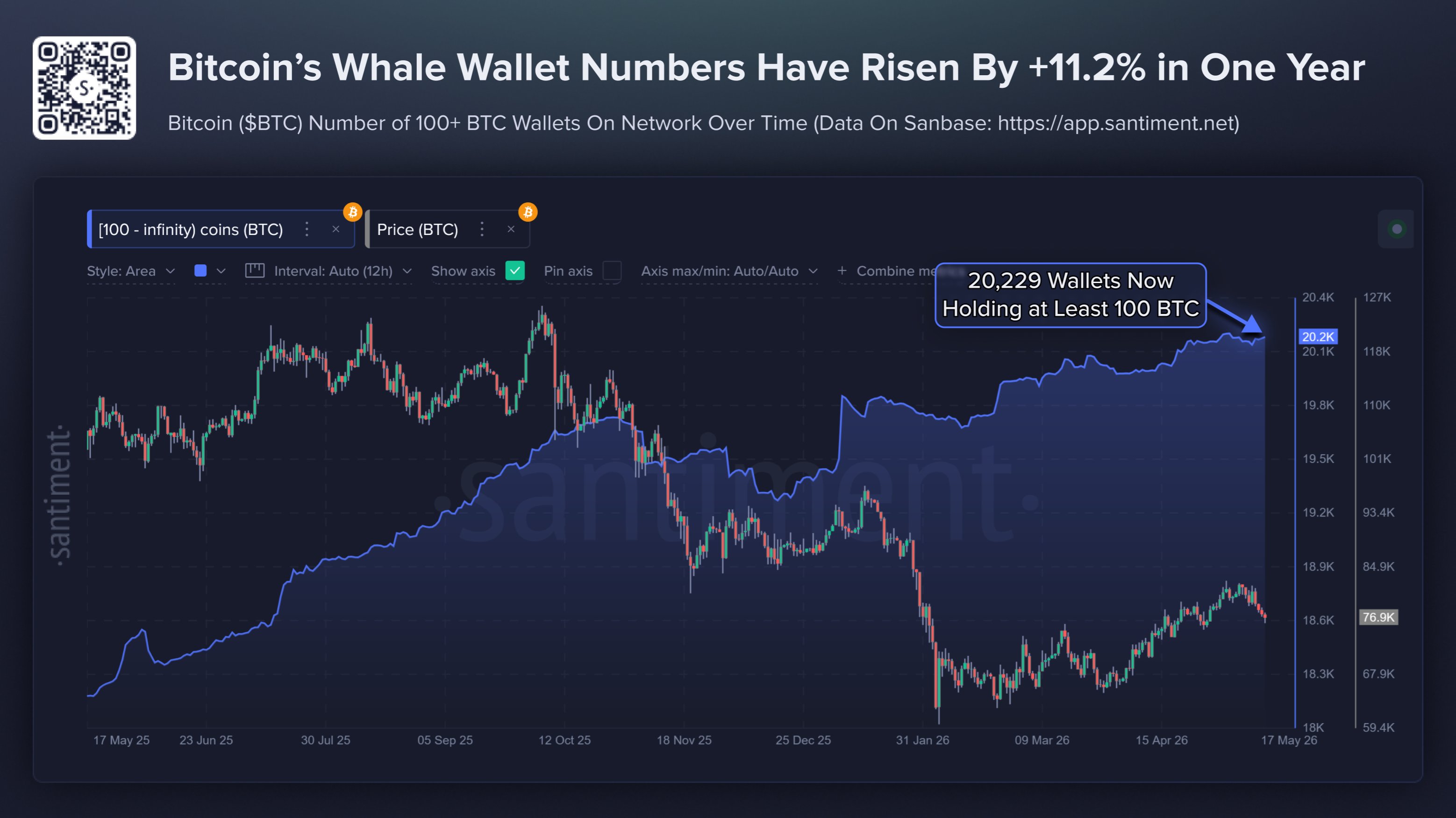 Bitcoin Whales