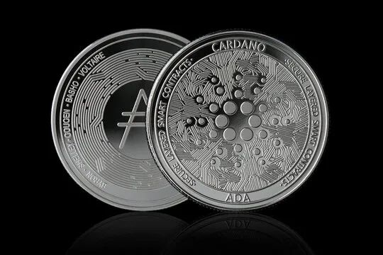 Cardano Holds Critical $0.25 Support: History Points To A Major Rally Setup